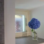 Residenza Motta * Locarno