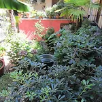 Appartamento Residenza Motta