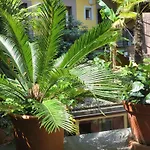 Residenza Motta * Locarno