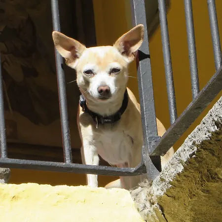 Residenza Motta * Locarno