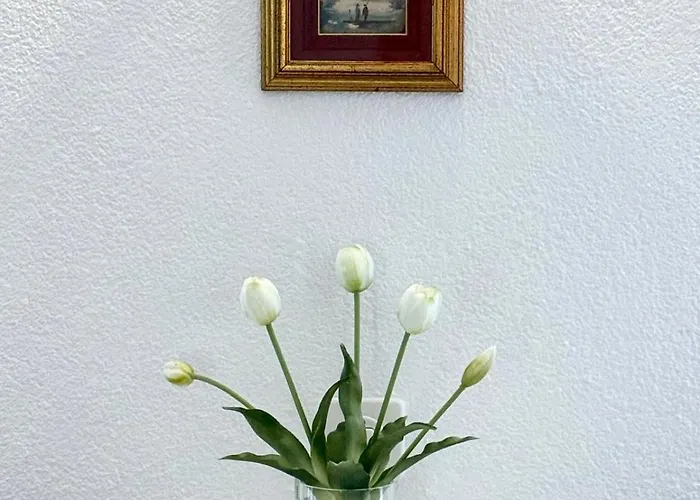 Residenza Motta * Locarno